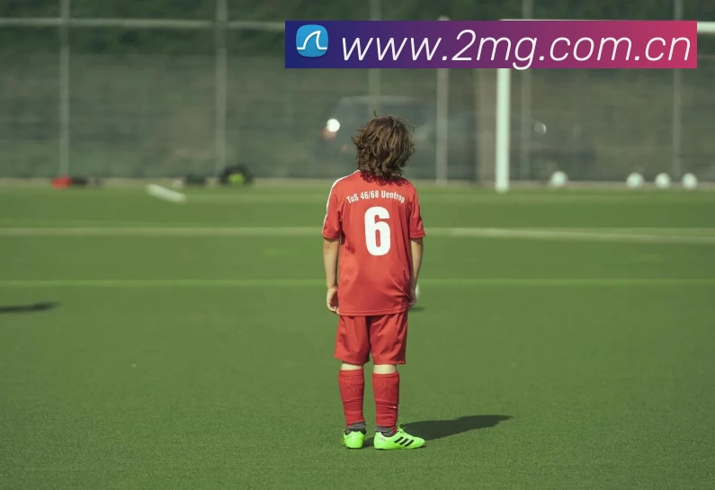 Bsports - B(中国)一站式服务官网平台生态图